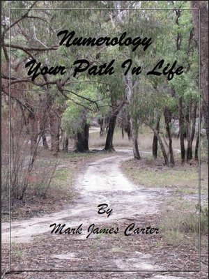 cover image of Numerology Your Path In Life
